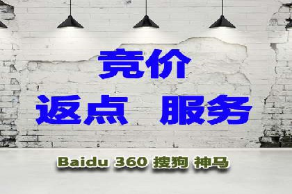 SEM代运营机构案例分析：优化策略详解
